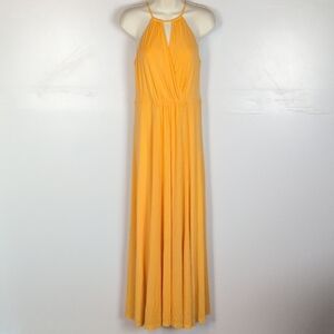 Ann Taylor NWT Maxi Dress